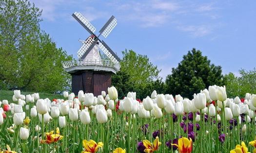 A Comprehensive Travel Guide: Frankfurt, Cologne, Amsterdam, Giethoorn, Zaanse Schans, Keukenhof, Rotterdam