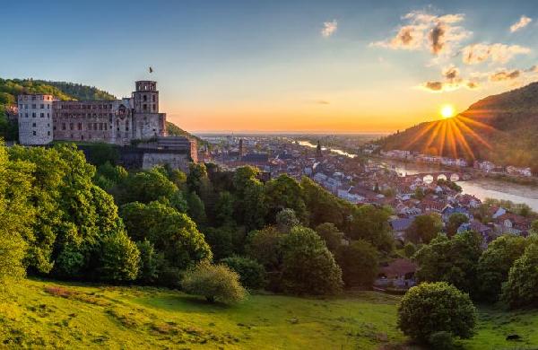 A Scenic German Journey: Frankfurt, Heidelberg, Rüdesheim, the Rhine, and Assmannshausen