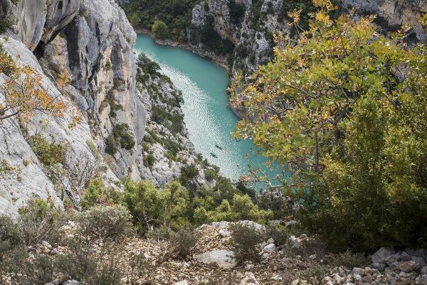 A Journey Through Provence: Avignon, Valensole, Moustiers-Sainte-Marie, and Lac de Sainte-Croix