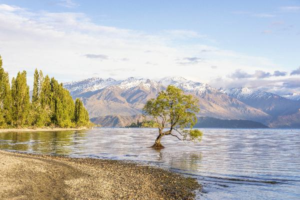 A Comprehensive Travel Guide: Christchurch to Christchurch South Island Loop, New Zealand