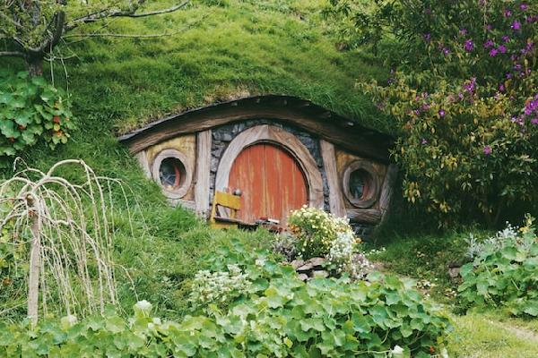 A Comprehensive Travel Guide: Auckland, Waitomo, Hobbiton, Rotorua & Beyond