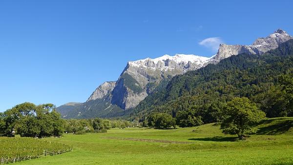 Grand Swiss Tour: From Geneva to Zurich