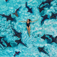 A Comprehensive Travel Guide to Siyam World Maldives Resort