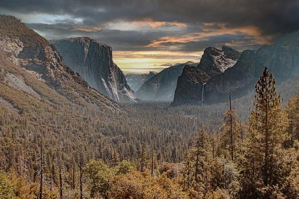 A Comprehensive Travel Guide: San Francisco, Yosemite, and Sequoia National Parks Loop