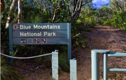 Comprehensive Travel Guide: Sydney Arrival and New South Wales Adventures