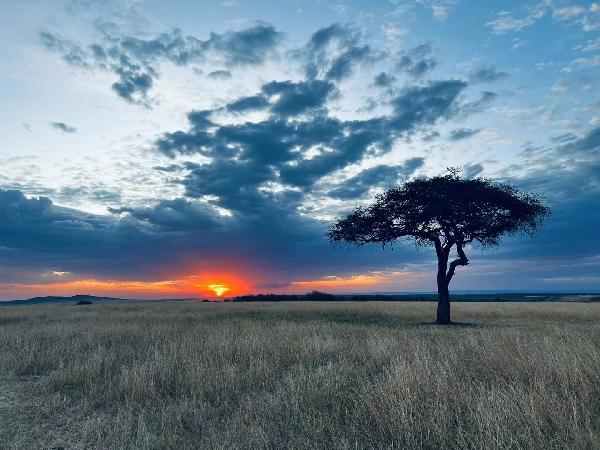 The Ultimate Northern Tanzania Safari Circuit: A Journey from Arusha to the Serengeti and Back