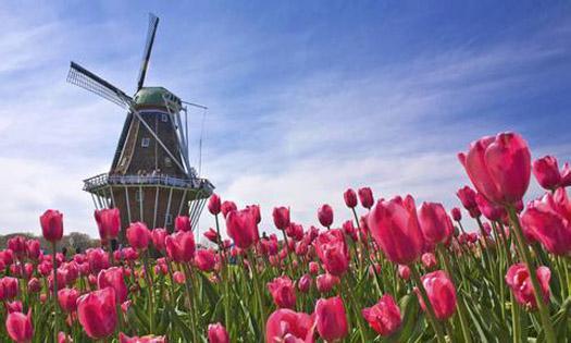 A Grand Tour: Paris, Bruges, Rotterdam, Giethoorn, Zaanse Schans, Amsterdam, and Keukenhof