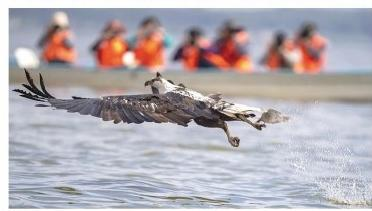 The Ultimate Kenya Safari: A Journey from Nairobi to the Maasai Mara