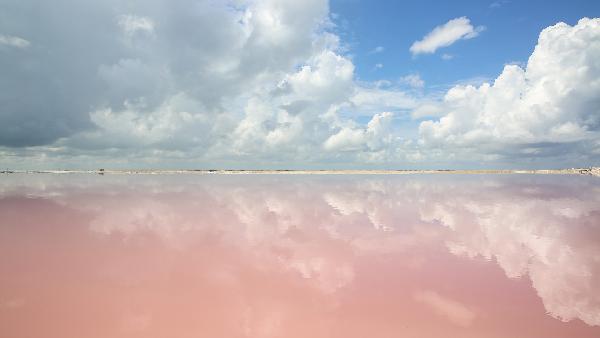 A Comprehensive Travel Guide to Mexico’s Pink Lakes & Flamingo Sanctuaries: Las Coloradas and Río Lagartos