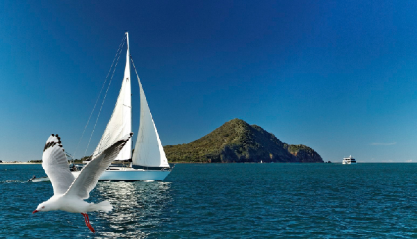 Australia East Coast Adventure: A Comprehensive Travel Guide from Sydney to the Gold Coast